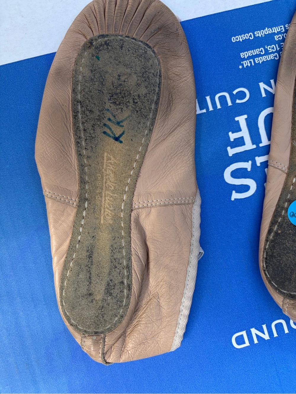 Ballet Shoes